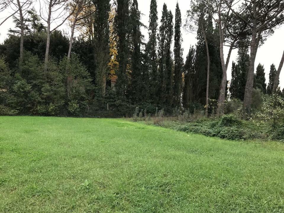 Villa Leonardo Vinci Exteriör bild